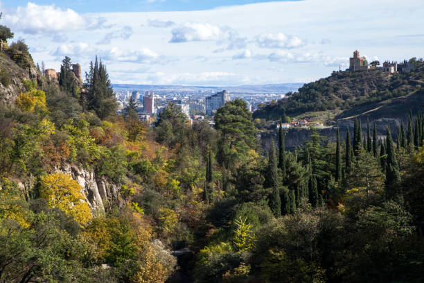 istock Tbilisi botanical park and cityscape 1360185473