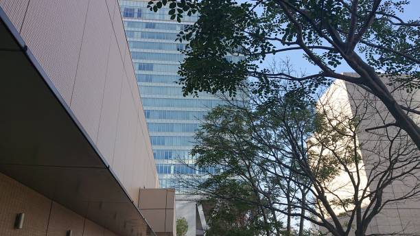 istock The Bulding valley in OSAKA city 1360187670