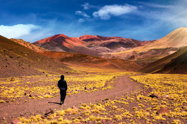 istock Man walking alone, in the mountains 1360190624