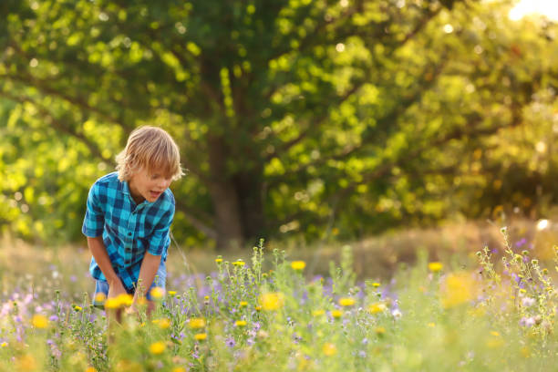 istock Cute little boy outdoors, space for text. Child spending time in nature 1360191318