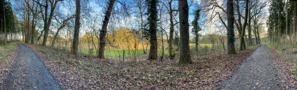 istock A path next to a forest and a river in winter. 1360191596