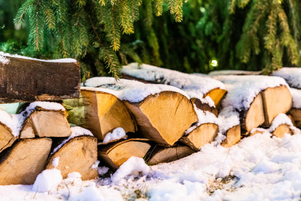 Chopped stacked and organized firewood set in a snowy forest pathway in early December Switzerland.