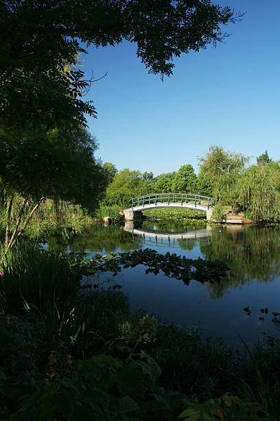 istock Garden Bridge, Dayton, Ohio 136019612