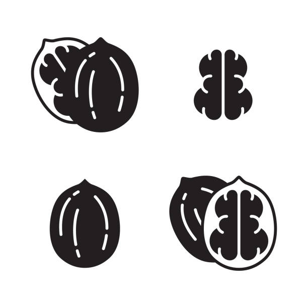 zestaw ikon sylwetki orzecha włoskiego. czarny prosty wektor nakrętki w łupinach - nutshell stock illustrations