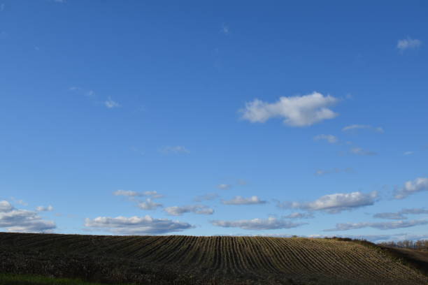 Un ciel bleu A field after the harvests, Quebec, Canada ciel bleu stock pictures, royalty-free photos & images
