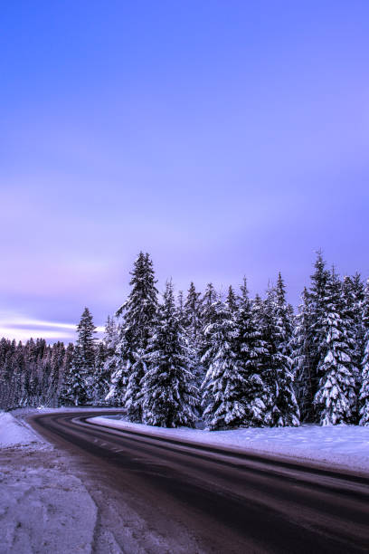 istock Winter Road in Snow Covered Forest at Night 1360196879