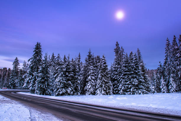 istock Winter Road in Snow Covered Forest at Night 1360196917