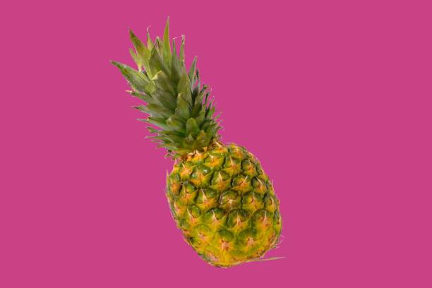 Pineapple fruit isolated on pastel background. Creative layout made of pineapple. Flying food. Food concept stock photo