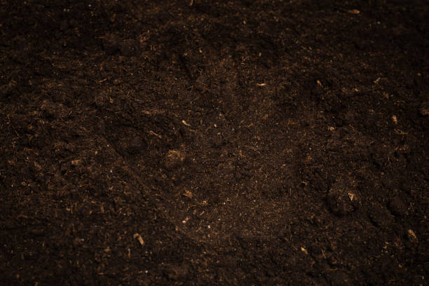 istock Woman hand trace on a ground. 1360199338