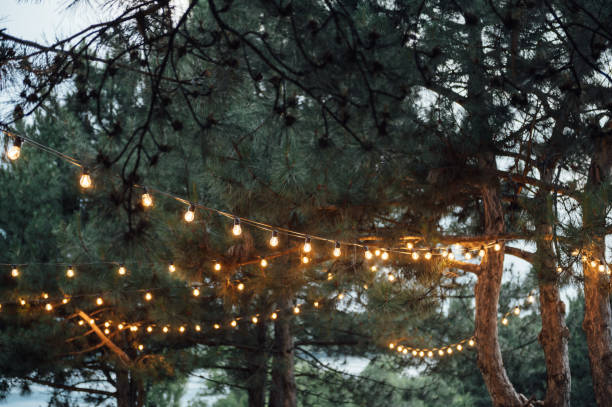 Decorative outdoor string lights hanging on tree in the garden at night time Decorative outdoor string lights hanging on tree in the garden at night time. garden lights candle stock pictures, royalty-free photos & images