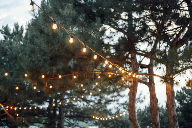 istock Decorative outdoor string lights hanging on tree in the garden at night time 1360200533