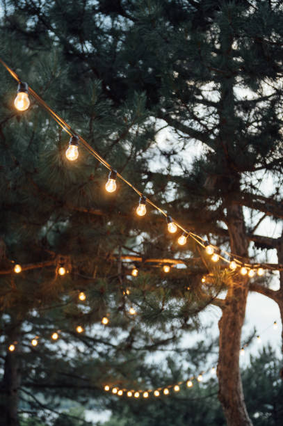 istock Decorative outdoor string lights hanging on tree in the garden at night time 1360200551