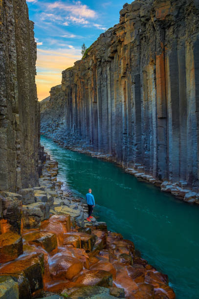 Hiker standing at the bottom of Studlagil Canyon in Iceland at sunset Hiker standing at the bottom of Studlagil Canyon with the Jokulsa A Bru river in east Iceland at sunset. Loneliness, sadness and solitude concept basalt photos stock pictures, royalty-free photos & images