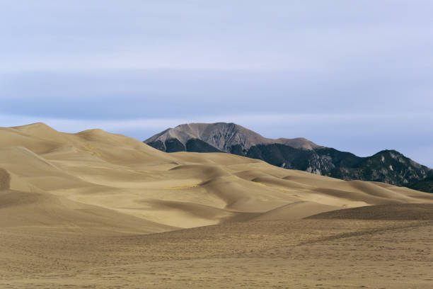 istock Great Sand Dunes National Park 1360204401