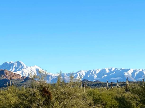 istock Snow In The Desert 1360205803