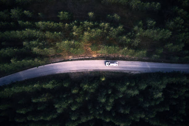 istock Tank truck on road through pine forest 1360207298