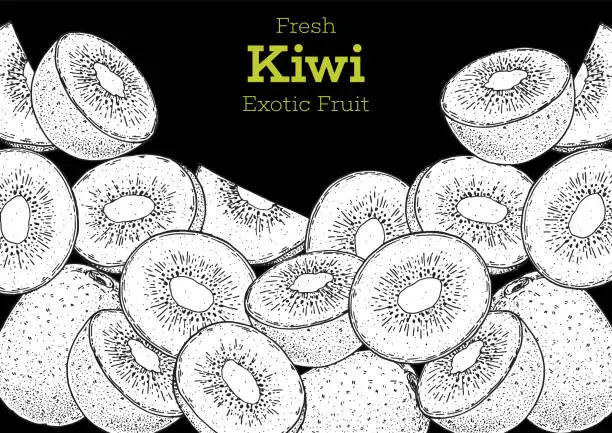 Vector illustration of Kiwi fruit hand drawn frame. Sketch style. Vector illustration. Design, package, brochure illustration. Hand drawn kiwi fruits design template. Organic fresh food vector illustration.