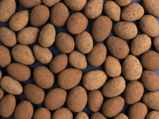 istock Chocolate covered almonds sprinkled with cocoa powder top view. 1360209718