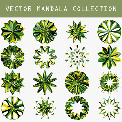 Vector green mandalas icon collection