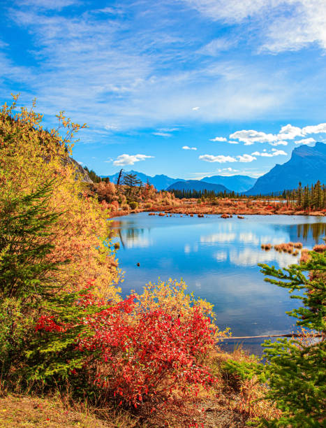 istock The smooth water of Lake Vermillon 1360211149