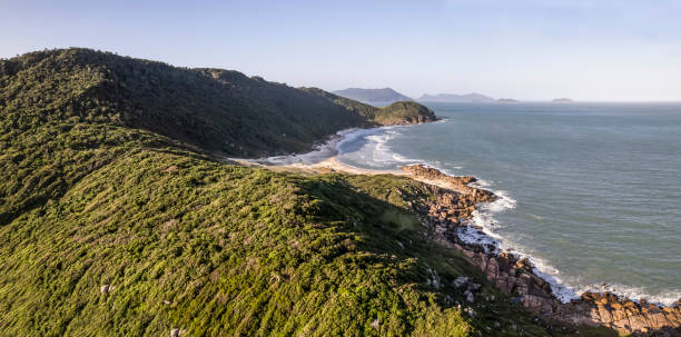 istock Hill covered by Atlantic Forest with rock formations and beach with sea 1360211810