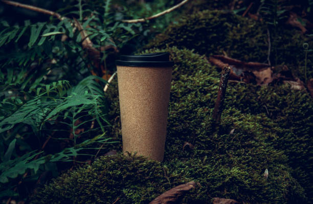 Reusable cork coffee cup in the forest. stock photo