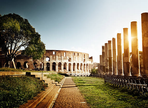 колизей в риме, италия - grass architectural detail architecture and buildings flavian стоковые фото и изображения