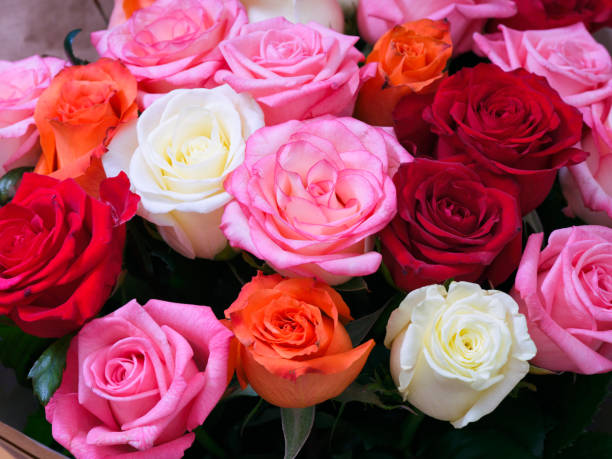 istock A lot of multicolour roses. 1360215920