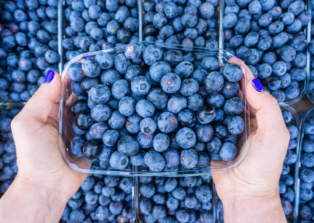 istock Hands holding a retail box with blueberries 1360217046