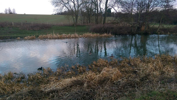 istock Daybreak over the river Lea in early spring just outside Hertford 1360218574