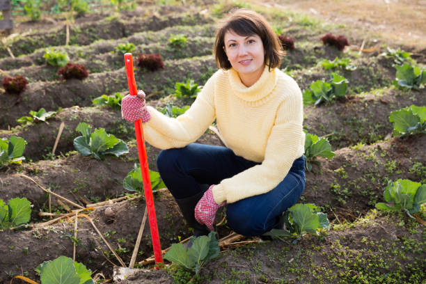 istock Woman working in garden 1360225828