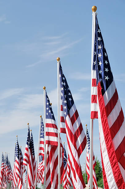 istock American Flags on Memorial Day  at a Cemetery 136022863