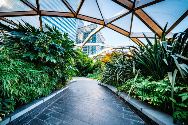 High-tech timber structure above a public park in Canary Wharf London High-tech timber structure above a public park in Canary Wharf London canary wharf stock pictures, royalty-free photos & images