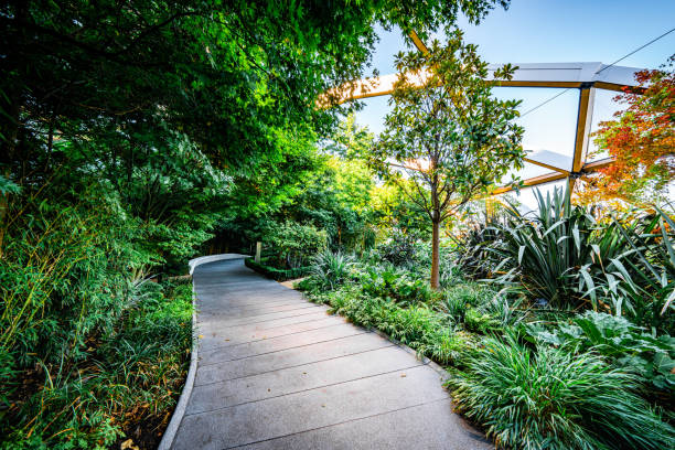 istock High-tech timber structure above a public park in Canary Wharf London 1360228707
