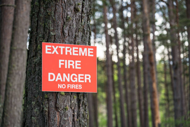 Extreme Fire Sign 5,000+ Forest Fire Sign Stock Photos, Pictures & Royalty-Free Images ...