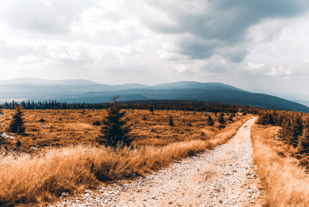 Country road among meadows and forests on a bright sunny day, Jizera Mountains, Poland