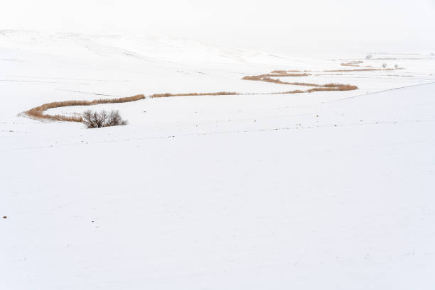 istock Frozen Stream and Agricultural Fields at Winter 1360231838