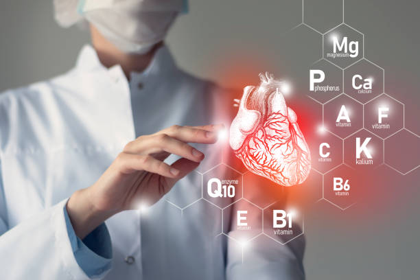 Set of main human organs with molecular grid, micronutrients and vitamins with doctor on blurry blue background. Heart organ. Essential nutrients for Heart health including Q10, Calcium, Magnesium, Vitamin F.Blurred portrait of doctor holding highlighted red Heart. micronutrients stock pictures, royalty-free photos & images