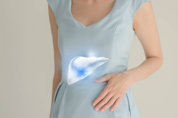Woman in blue clothes holding virtual liver in hand. Handrawn human organ, detox and healthcare, healthcare hospital service concept stock photo Unrecognizable female patient in blue clothes, highlighted handrawn liver in hands. Human digestive system issues concept. liver failure stock pictures, royalty-free photos & images