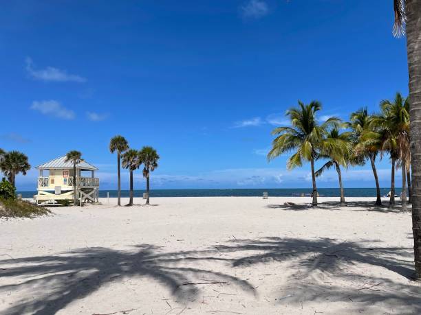 istock Coastline & Beaches, Quintana Roo, Mexico! 1360244398