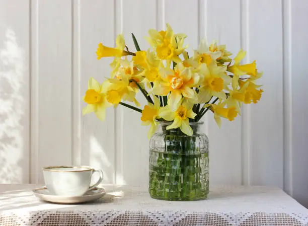 bouquet of yellow daffodils in a glass vase and a retro cup on the table, a sunny rustic composition.