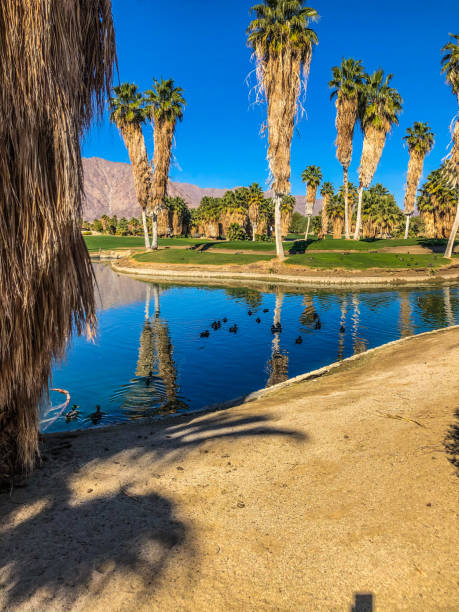 istock A pond filled with ducks alongside a golf course in Southern California 1360249073
