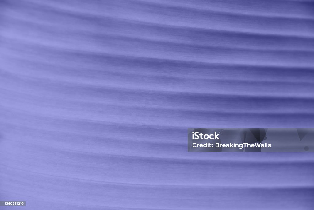 Purple palm leaf texture with veins Extreme close up background texture of backlit palm leaf with veins, toned in lavender, very peri, color of year 2022 2022 Stock Photo