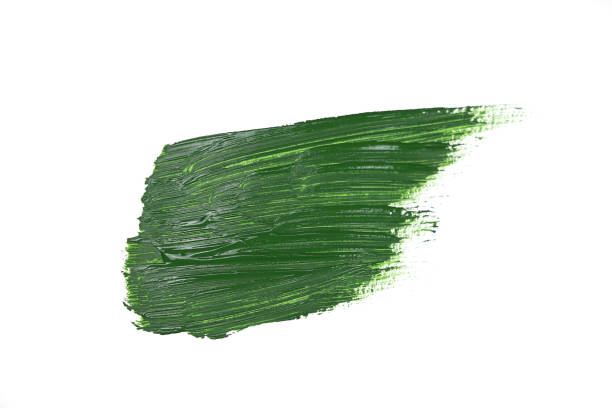 istock Green brush stroke isolated on white background 1360252648