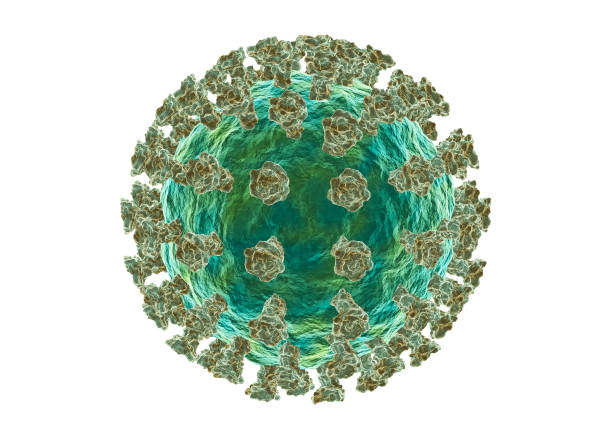 istock Seasonal influenza virus microscopic view isolated on white background 1360256538