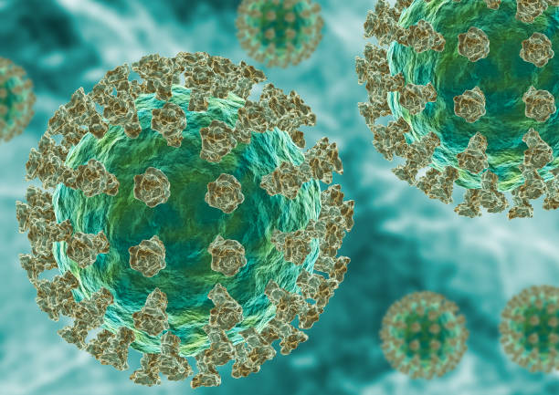 istock Seasonal influenza virus microscopic view 1360256541