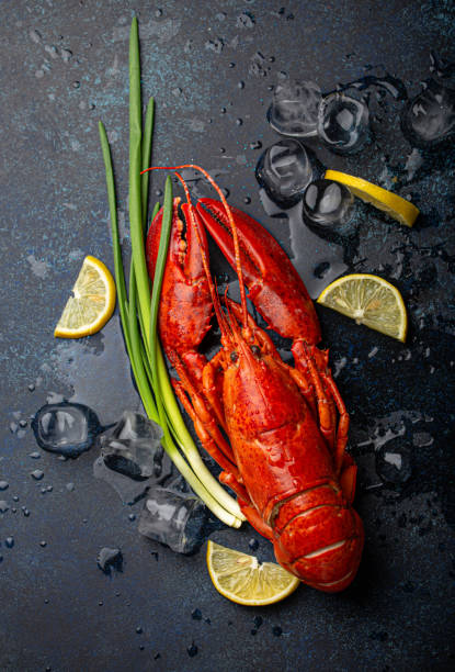 istock Lobster with lemon and ice cubes top view on blue stone background 1360257900