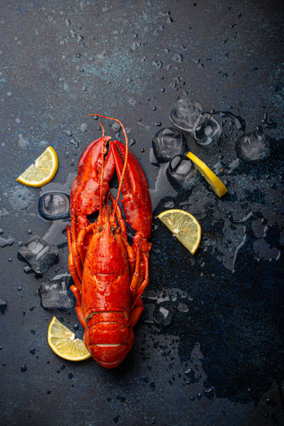 istock Lobster with lemon and ice cubes top view on blue stone background 1360257904
