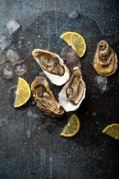 istock Fresh open oysters top view with lemon wedges and ice 1360257941