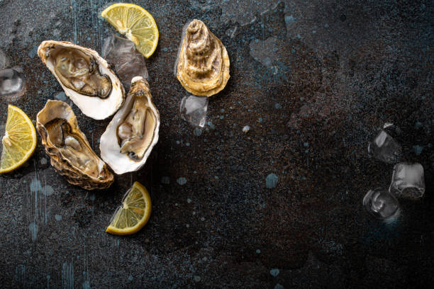 istock Fresh open oysters top view with lemon wedges and ice copy space 1360257947